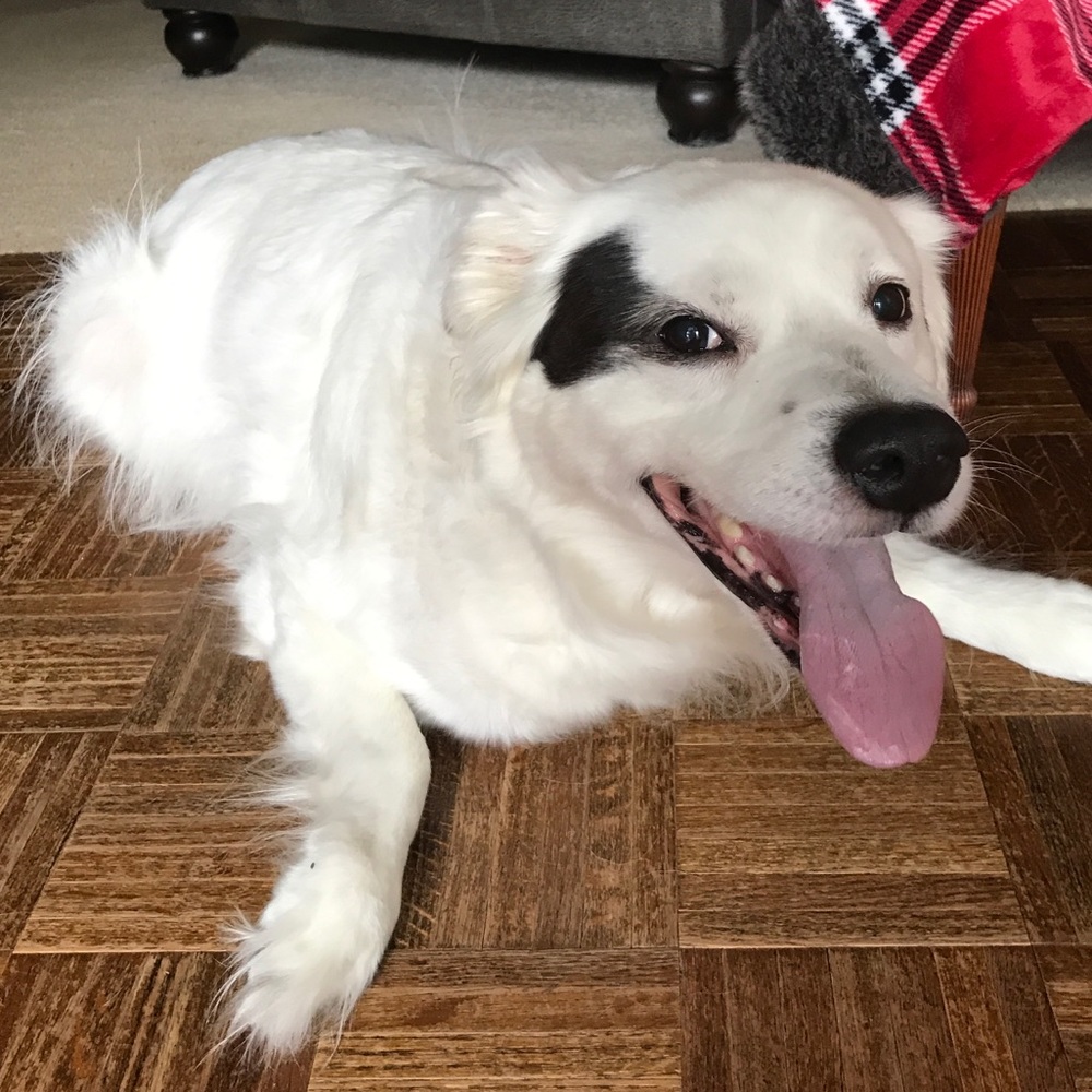 Meet your Posher, Briana